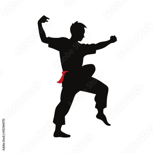 a Male martial arts kung fu man standing posing silhouette vector. isolated white background 