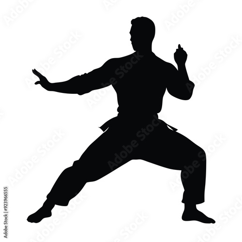 Silhouette of a man in oriental martial art pose, isolated white background 