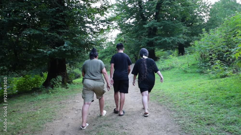 Three people are walking along a path in the forest Three people are walking along a path in the forest
