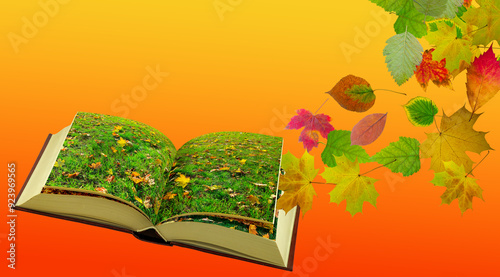 An Open Book of Autumn Leaves in a Lush Meadow