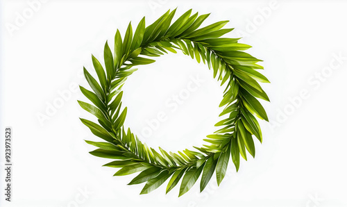 A wreath made of green leaves is placed on a white background. The wreath is circular in shape and has a natural, organic feel to it. The leaves are arranged in a way that creates a sense of movement