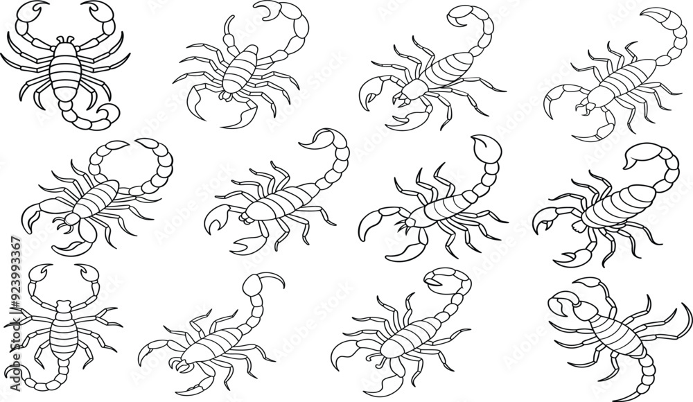 Fototapeta premium Set of Scorpion vector illustration Line art for coloring book page