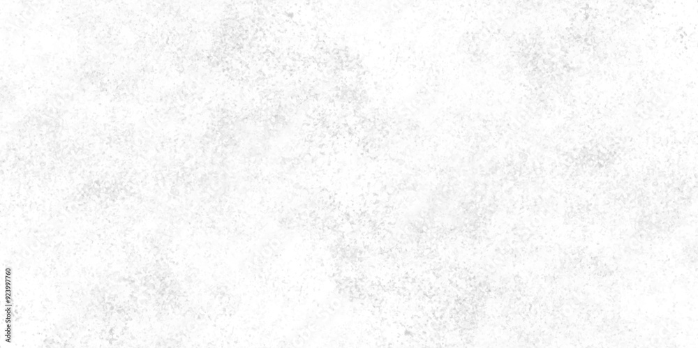 Black and white grunge crack paper texture design. Cement wall modern style background and texture. grunge gray texture of chips, cracks, scratches, Soft white grunge. Black and white grunge crack paper texture design. Cement wall modern style background and texture. grunge gray texture of chips, cracks, scratches, Soft white grunge.