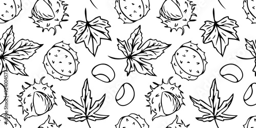 Vector seamless pattern with outlines of chestnuts in doodle style. Line art autumn background. Thanksgiving design. Concept of forest, leaf fall, nature.