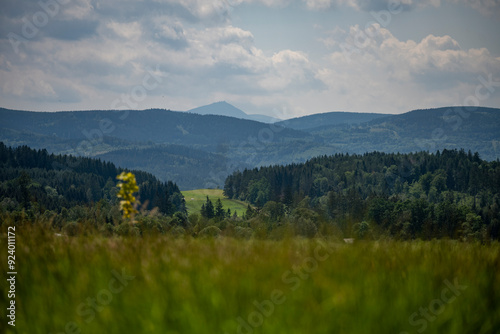 Mountain landscape with forest and meadow in summer – distant peak on the horizon