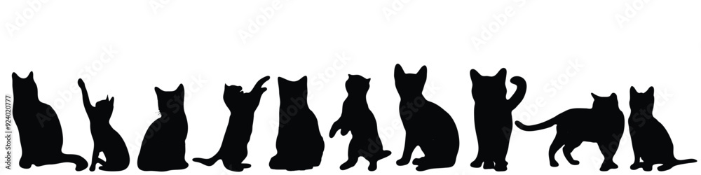 Fototapeta A row of black and white cats are sitting in a line, cat poses silhouette, cats silhouette