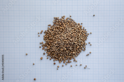 coriander seed on graph paper for the concept of size photo