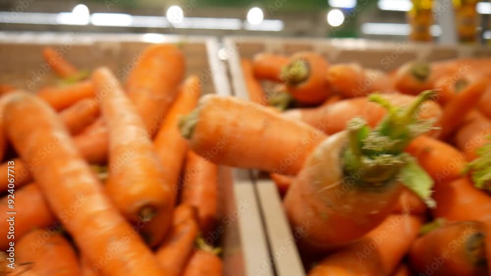 Close-up of many fresh carrots on a market counter Close-up of many fresh carrots on a market counter
