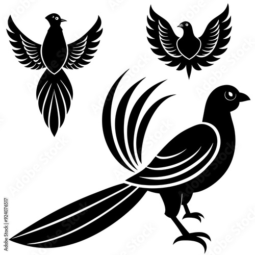 Quetzal Bird silhouettes and icons black flat color vector illustration on white backgound 