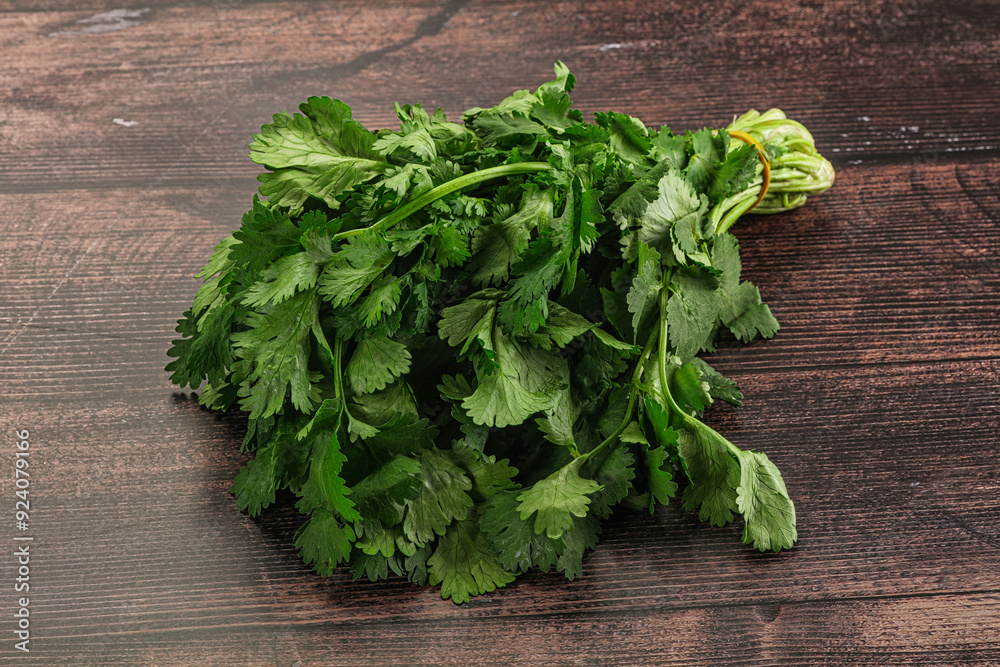 Fresh green cilantro branches heap Fresh green cilantro branches heap