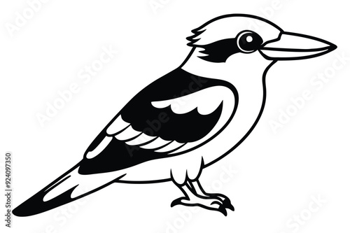 kookaburra silhouette vector illustration . photo