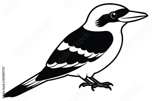 kookaburra silhouette vector illustration . photo