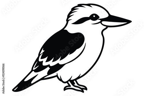 kookaburra silhouette vector illustration .