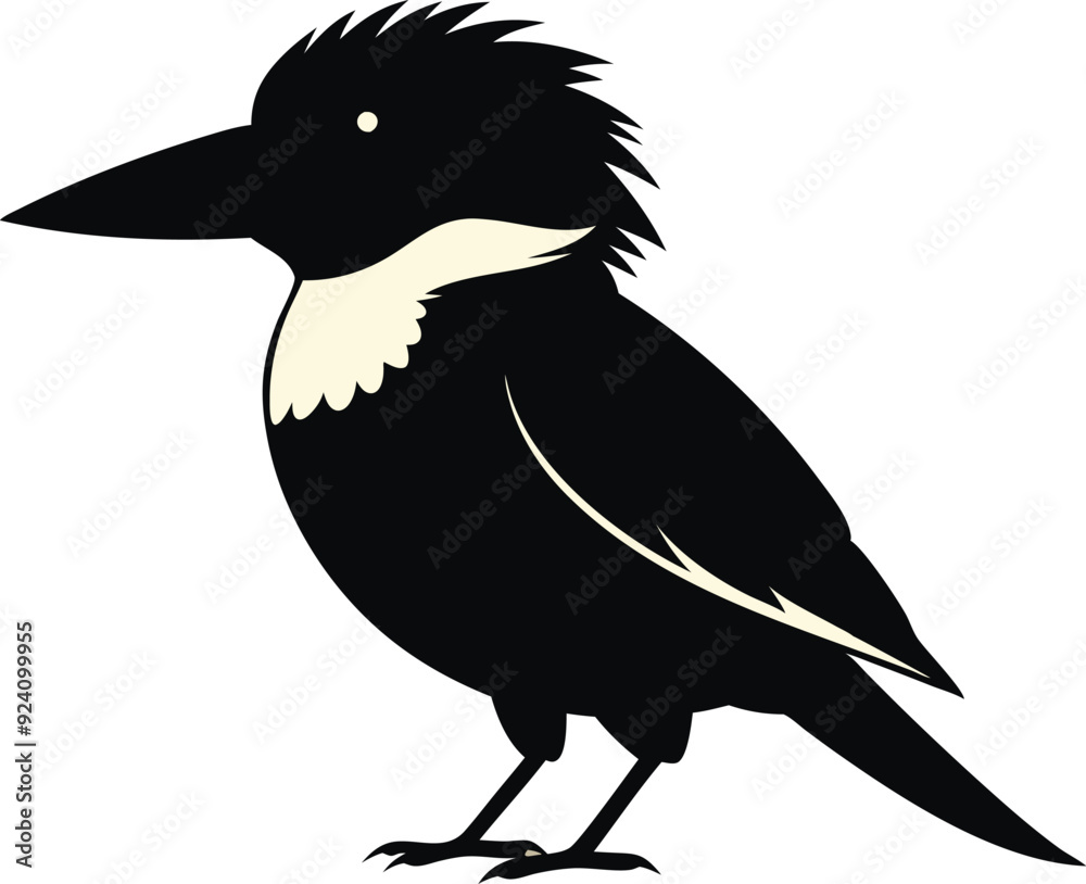 Fototapeta premium kookaburra silhouette vector illustration .