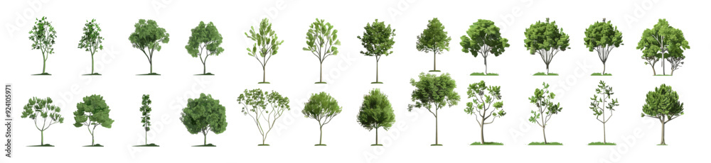 Form trees outdoor shapes ornamental set vector illustration, tree ...