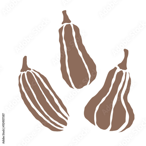 Trio of squash arranged stylishly against a plain backdrop for decoration