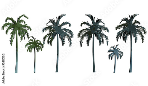 vector illustration Palm trees shapes, Coconut trees in different stems, Tropical palm trees set 3d rendering transparent background