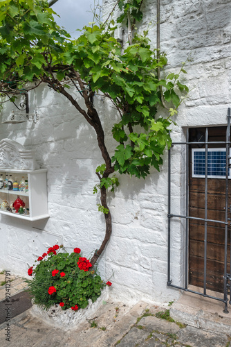 The Old town of Alberobello, Apulia Region, Italy