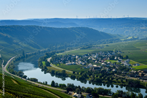 Mosel river, vineyards and Piesport village. Germany photo