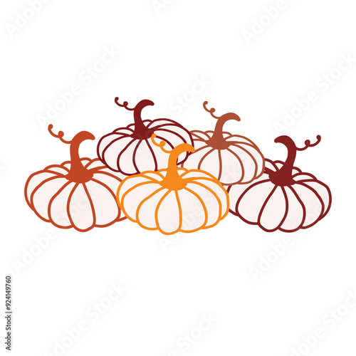 Colorful pumpkins arranged for a festive fall decoration