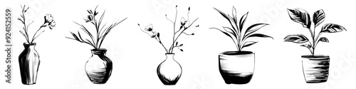 ink brush houseplant png cut out element set
