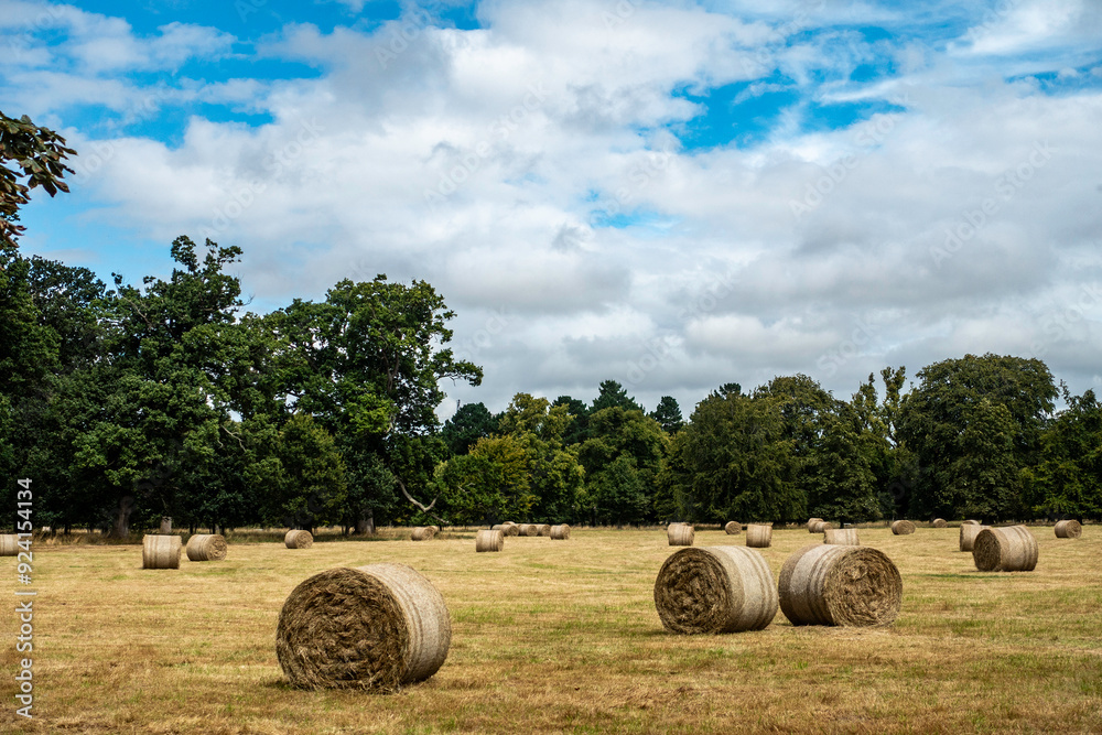 Bales of hay in the Phoenix Park, Dublin, Ireland. Bales of hay in the Phoenix Park, Dublin, Ireland.