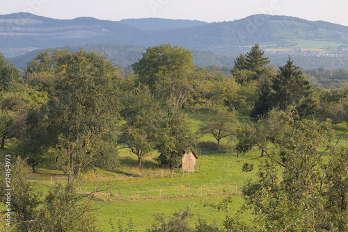 Nürtingen, Reudern, Schwäbische Alb, Summer, Meadow, Mountains, Orchard, Shack photo