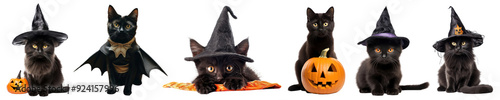 Animal wear halloween costume png cut out element set