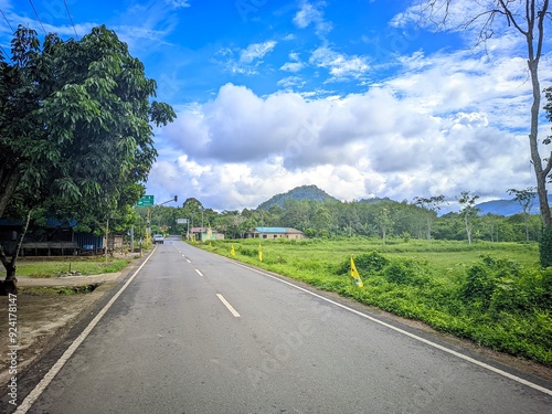 road in the forest