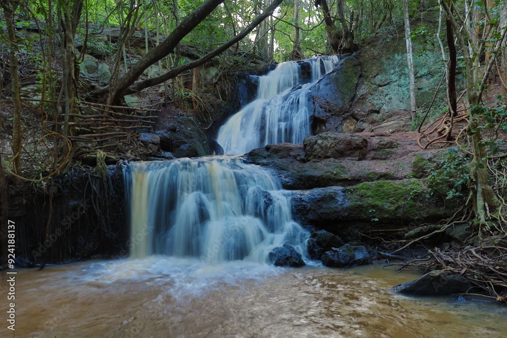 Obraz premium waterfall in the woods