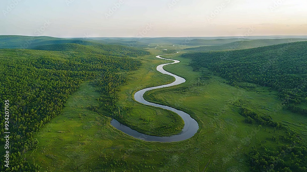 Aerial view of a winding river in a green valley with trees on either side Aerial view of a winding river in a green valley with trees on either side