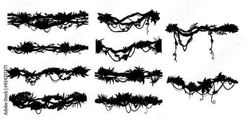 Jungle tropical forest liana vines silhouettes. Isolated vector rainforest tree branches, climbing plant and creeper lianas with leaves. Horizontal vines silhouettes, floral border lines and dividers