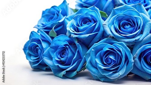 Fototapeta Naklejka Na Ścianę i Meble -  Blue roses on a white isolated background, blue, roses, flowers, floral, isolated, white, background, bloom, unique, rare