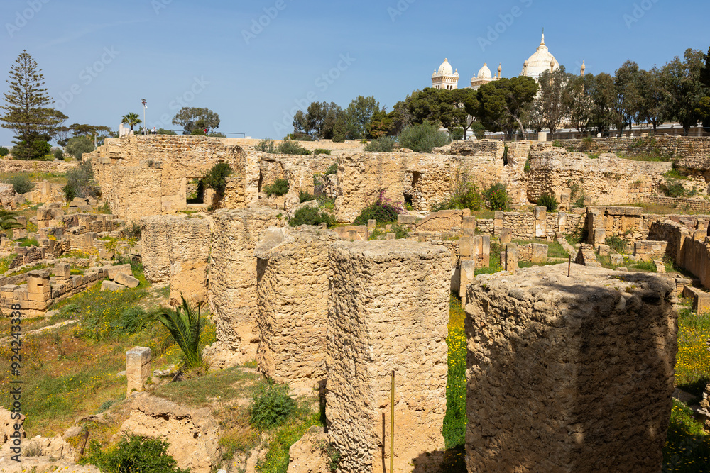 Φωτογραφία Scenic view of antique Punic Quarter on Byrsa Hill in Carthage with sunlit stone ruins and flourishing greenery contrasting to contemporary cityscape in background
