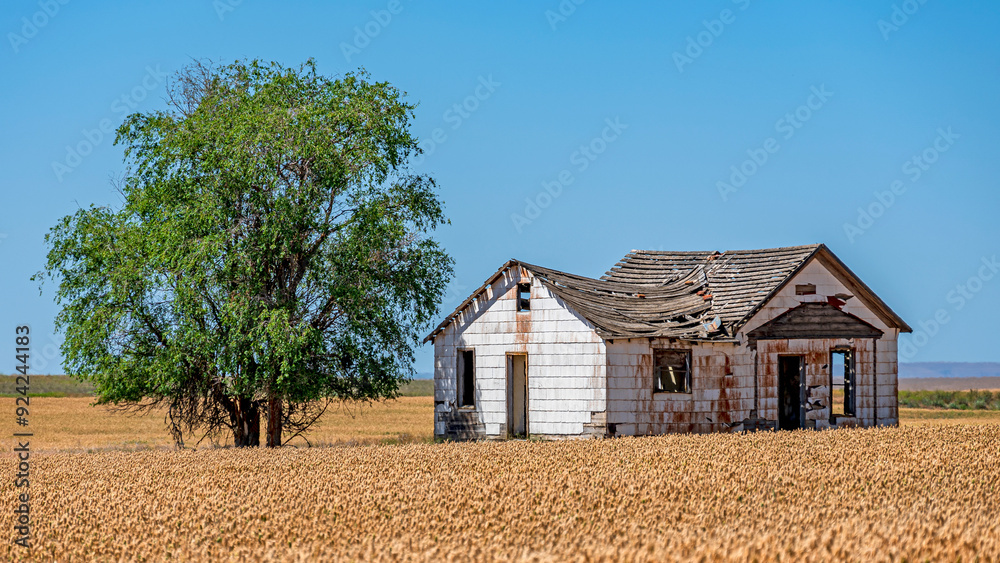 Obraz premium Abandoned collapsed wooden farmhouse Palouse Washington