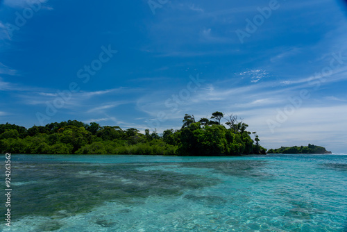 Stunning Tropical Island with Crystal Clear Water, Lush Vegetation, and Palm Trees - Serene Paradise Beach in the Caribbean, Perfect for Eco Tourism, Summer Vacations, and Exotic Travel Destinations