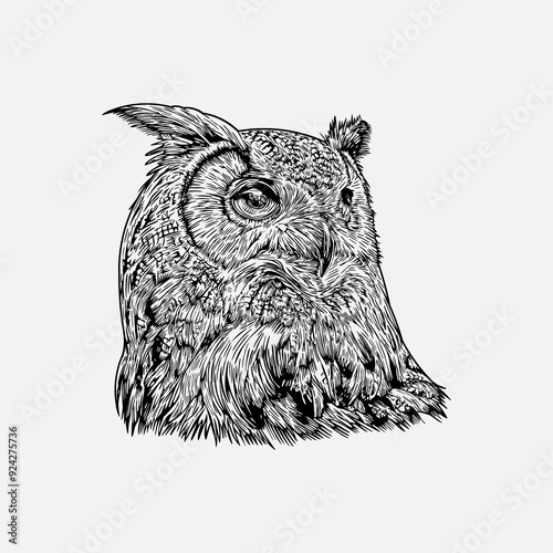 Antique horned owl engraving illustration