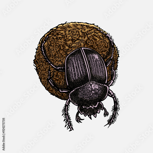 Dung beetle hand drawn artwork illustration