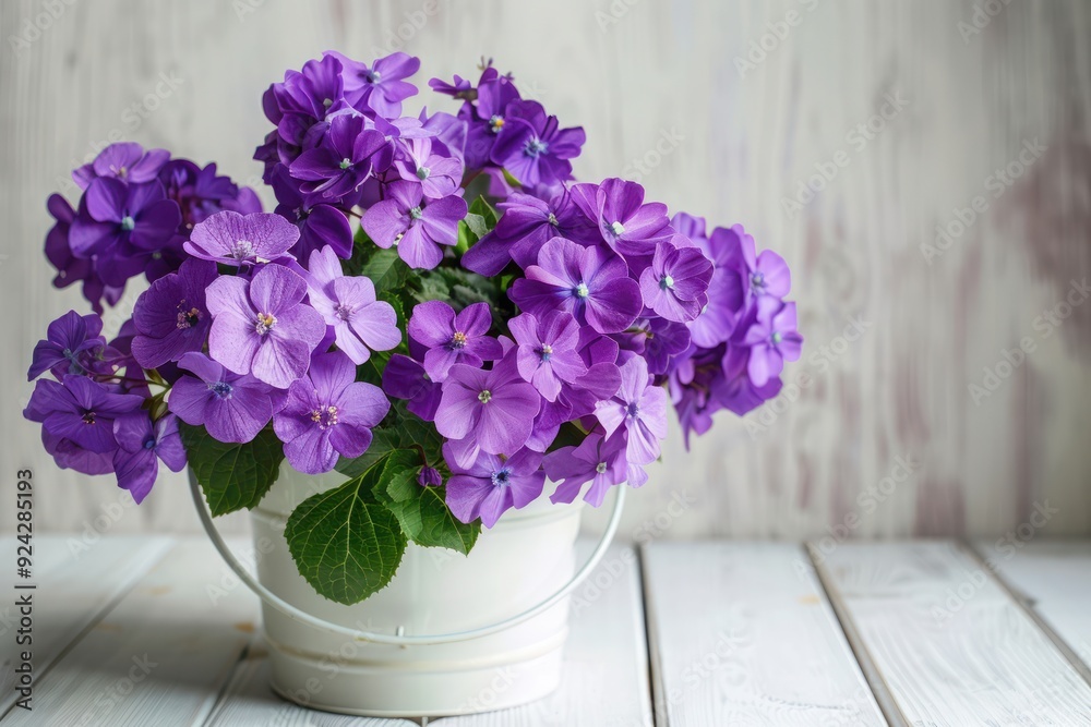 Beautiful violet flowers in the bucket. It stays on the white wooden table. Beautiful violet flowers in the bucket. It stays on the white wooden table.