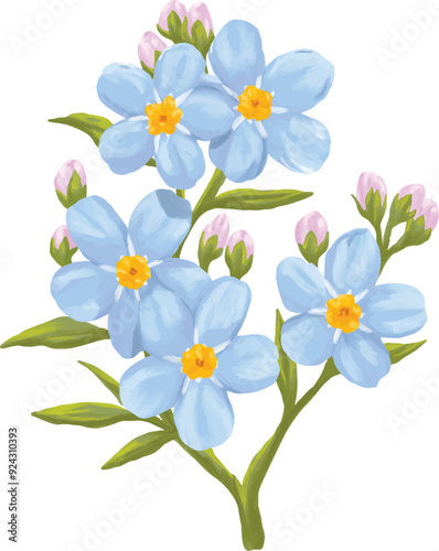 Forget me not flower digital painting illustration