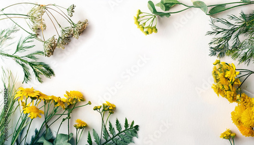 白い背景に配置された黄色い花と緑の葉が美しく描かれています。花や葉は画面の四隅に配置され、中央の空間が広がっていることで、シンプルでエレガントなデザインとなっています。この構図は、メッセージカードや招待状の背景としても利用できるような洗練された印象を与えます。