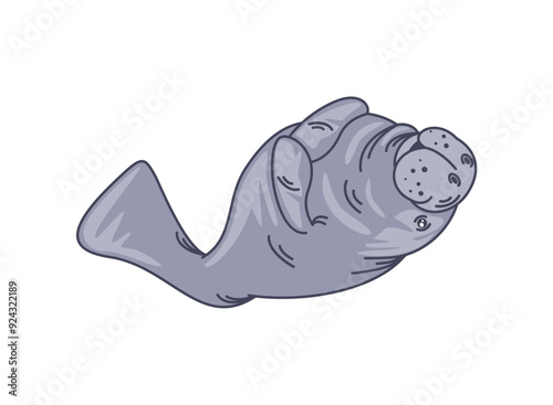 sea cow playing under the water