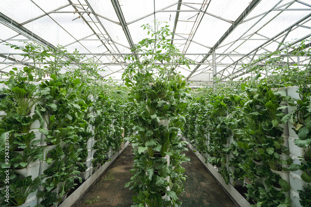 Sustainable Vertical Farming in a Greenhouse with Lush Green Vegetation Sustainable Vertical Farming in a Greenhouse with Lush Green Vegetation