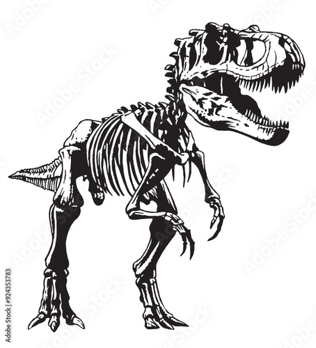 Hand drawn illustration of a Tyrannosaurus Rex skeleton. Editable art.