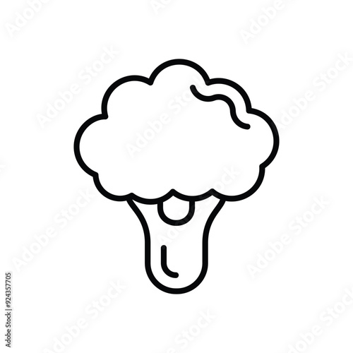 Broccoli vector icon