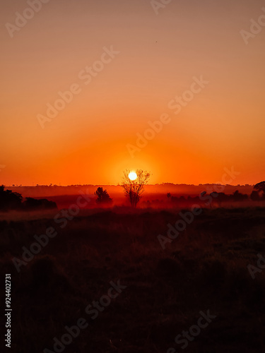 sunset on the beach