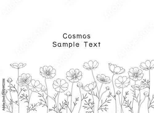 手描きのコスモス畑の線画フレームイラスト