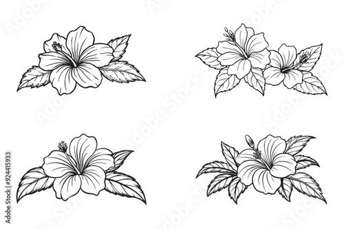 Hibiscus flower Sketch art illustration