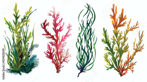 Four of colorful hand drawn edible algae vector graph