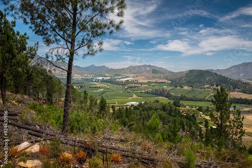 Waboomskraal in the Outeniqua Mountains Hops farms and fynbos, floral kingdom in South Africa. photo